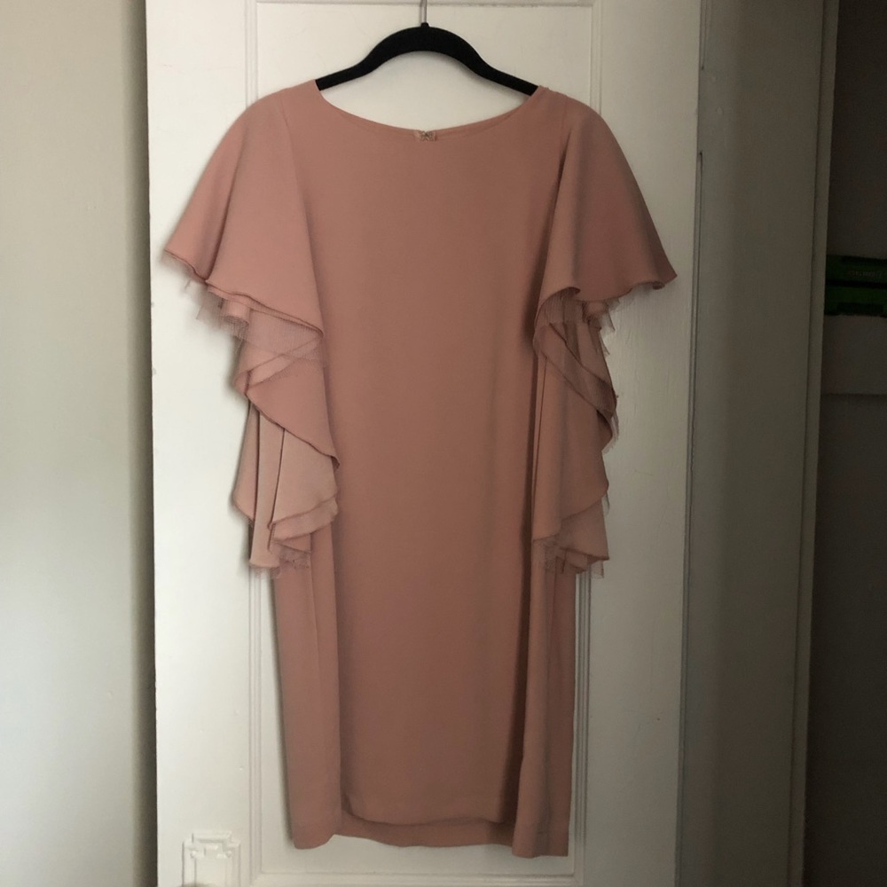 BCBGMaxAzria Blush Ruffle Sleeve Midi Dress